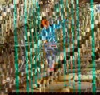 Trees Adventure Yeodene Park - Accommodation Sydney