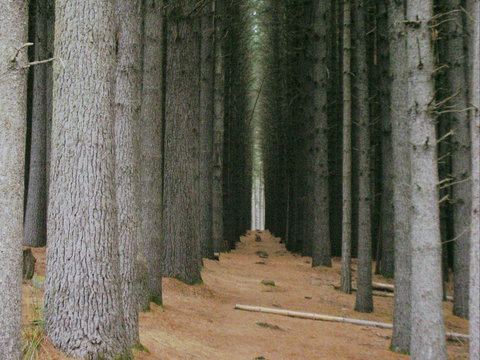 Tumut - Accommodation Sydney 2