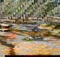 Two Dams picnic area - Accommodation Sydney