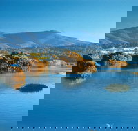 Wagonga Picnic Area - Sydney Resort