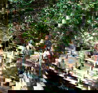 Watagans National Park - Accommodation Sydney