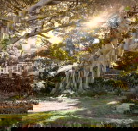 Wendy Whiteley's Secret Garden - Sydney 4u