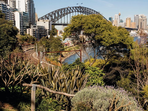 Wendy Whiteley's Secret Garden - Sydney Resort 2