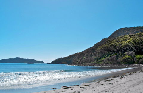 Yacaaba Headland Walking Track - Accommodation Sydney 0