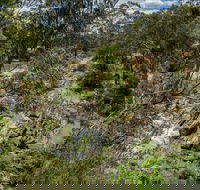 Yarrambat Park - Accommodation Sydney