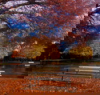 Bells Parade Reserve - Accommodation Sydney