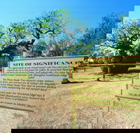 Boab Prison Tree - Accommodation Sydney