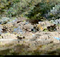 Boonoo Boonoo National Park - Sydney 4u