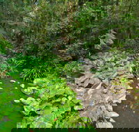 Brindle Creek Picnic Area - Accommodation Sydney