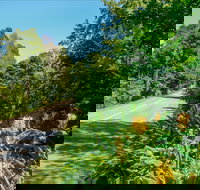 Broughton Vale - Sydney Resort