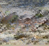 Canning Stock Route - Accommodation Sydney