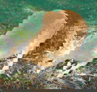 Caversham - Accommodation Sydney