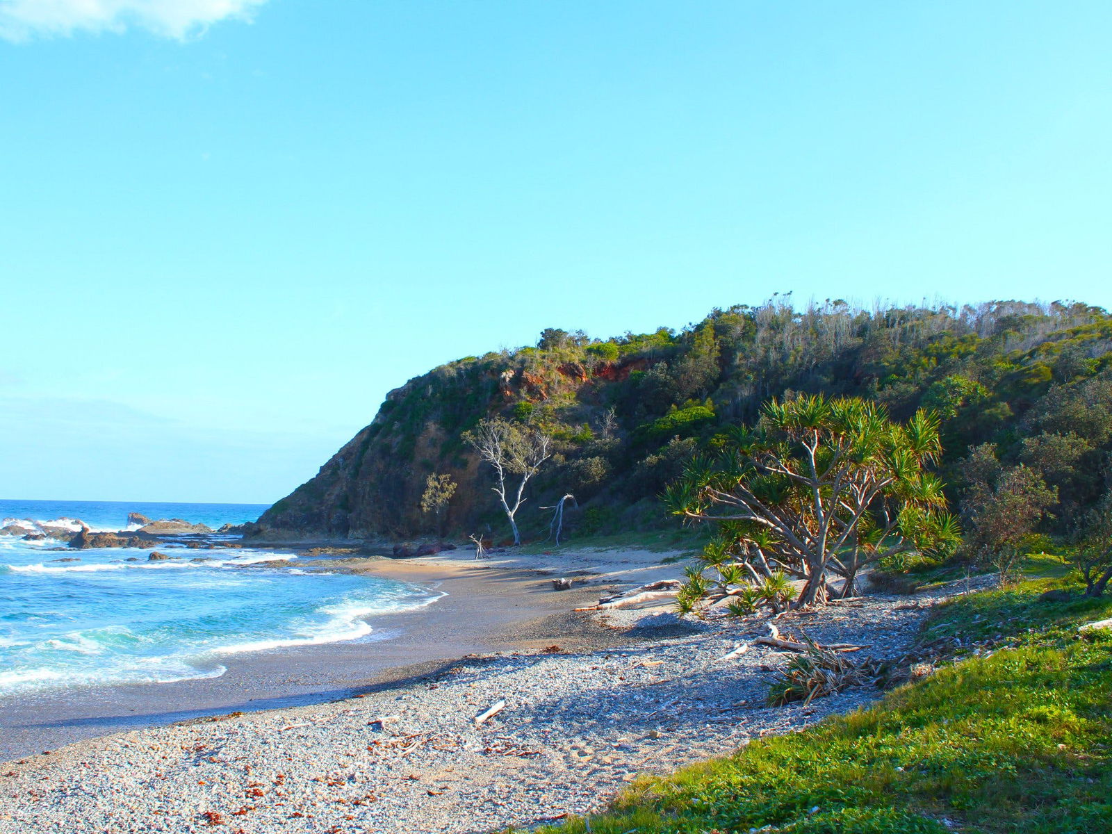 Northern Rivers And Tropical Nsw NSW Accommodation Sydney