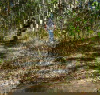 Cliff Face track - Accommodation Sydney