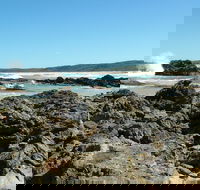 Coastal Walks - Bermagui - Accommodation Sydney