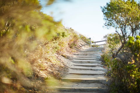 Coppins Walk Track (part Of The Coastal Walk) - Accommodation Sydney 0