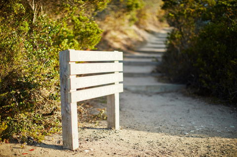 Coppins Walk Track (part Of The Coastal Walk) - Accommodation Sydney 1