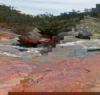 FR Berry Reserve - Sydney 4u