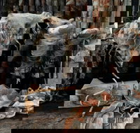 Geckostrands Textile Artist - Accommodation Sydney