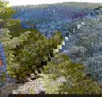 Glenbrook Gorge Track - Accommodation Sydney