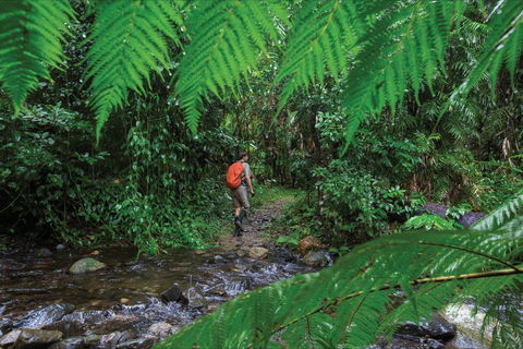 Goldsborough Valley, Wooroonooran National Park - Accommodation Sydney 0