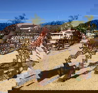 Gundersen Reserve - Accommodation Sydney