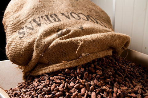 Haigh's Chocolates Visitor Centre - Accommodation Sydney 2