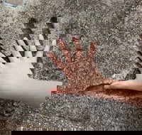 Hands of Fame Park - Sydney Resort