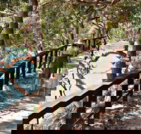 Harbour Bridge to The Spit Bridge Walking Track - Accommodation Sydney