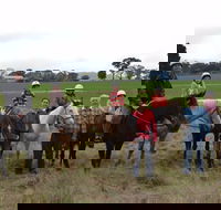 High Country Trail Rides - Sydney 4u