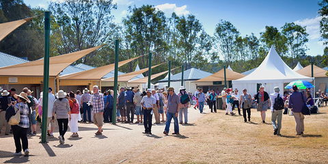 Ivory's Rock Conventions And Events - Sydney 4u 2