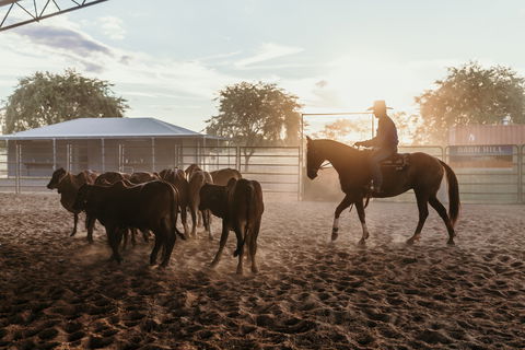 Katherine Outback Experience - Horse Riding Experience - Sydney 4u 2
