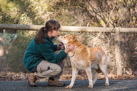 Kyabram Fauna Park - Sydney Resort 1