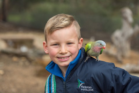 Kyabram Fauna Park - Sydney Resort 2