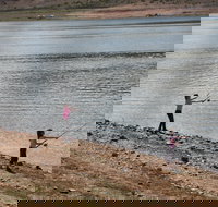 Lake Wyangala - Accommodation Sydney