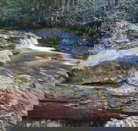 Liffey Falls Reserve - Accommodation Sydney