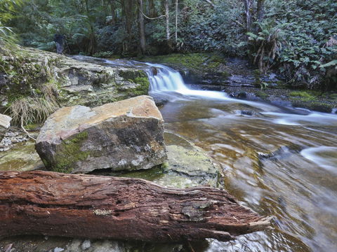 Liffey Falls Reserve - Sydney 4u 0