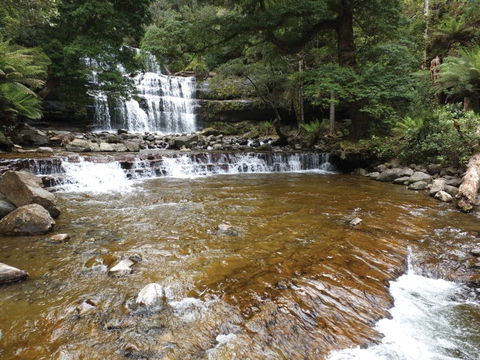 Liffey Falls Reserve - Sydney 4u 1