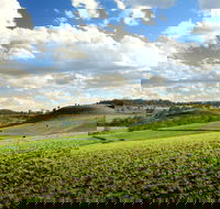Lions Park Hodgson Vale - Accommodation Sydney