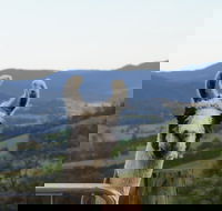 Llama Walks Tasmania