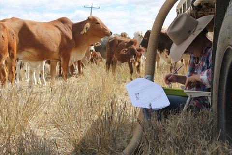 Longreach School Of Distance Education - Sydney Resort 2