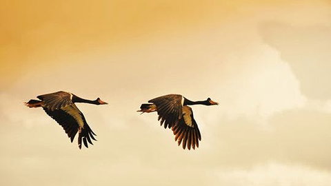 Mary River - Accommodation Sydney 1