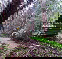 Mount Worth State Park - Accommodation Sydney