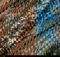 Muirs Lookout - Accommodation Sydney