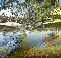 Murray Valley National Park - Accommodation Sydney