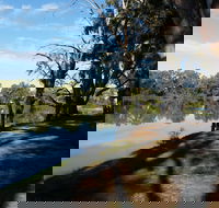 Murray River National Park - Katarapko - Accommodation Sydney