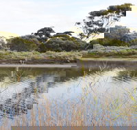 Onkaparinga River Recreation Park - Accommodation Sydney