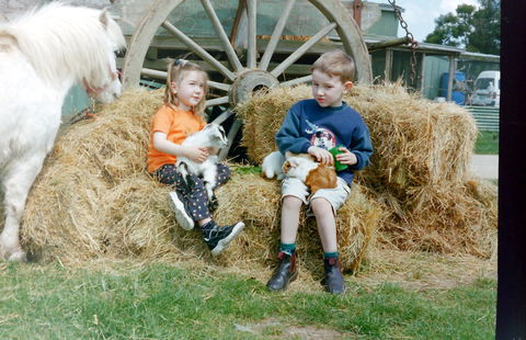 Rain Hayne And Shine Farmyard - Accommodation Sydney 0