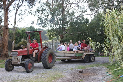 Rain Hayne And Shine Farmyard - Accommodation Sydney 1