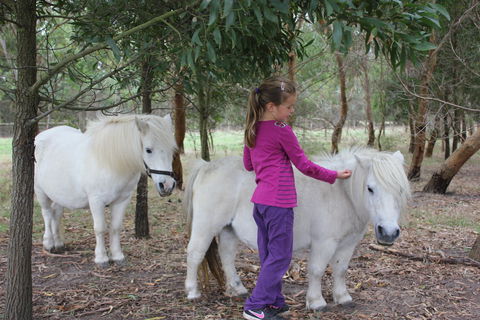 Rain Hayne And Shine Farmyard - Accommodation Sydney 2